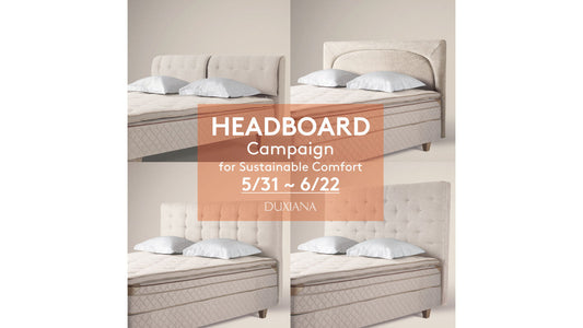 head boad Campaign!by DUXIANA