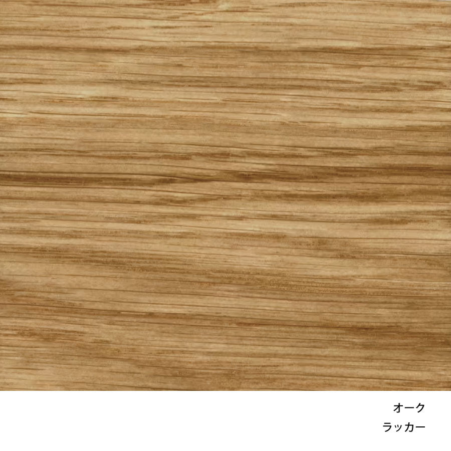 VLA26T VEGA CHAIR|ダイニングチェア