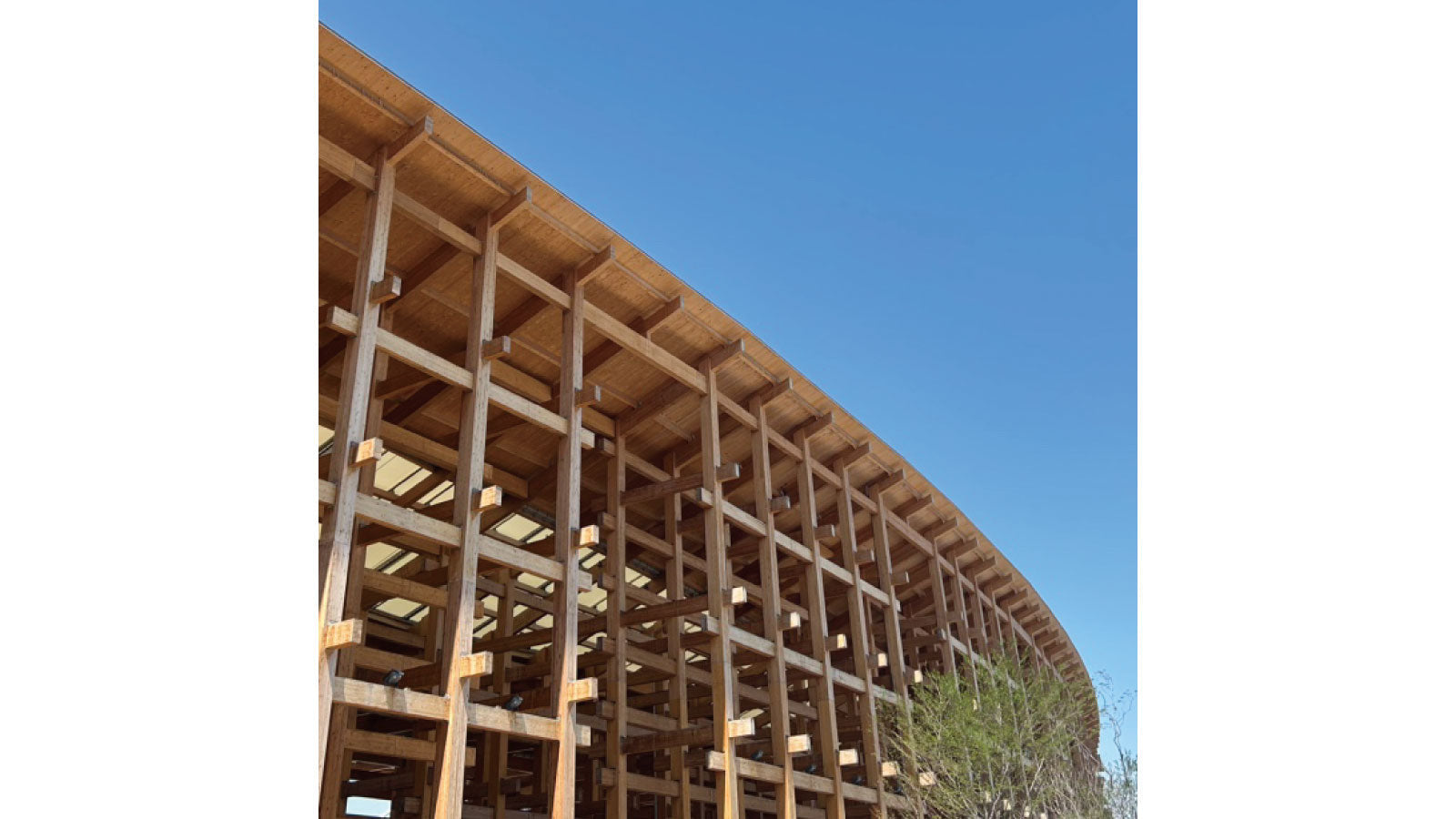 デンマークナショナルデー