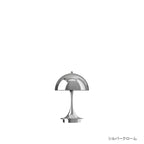 パンテラ ポータブル V3