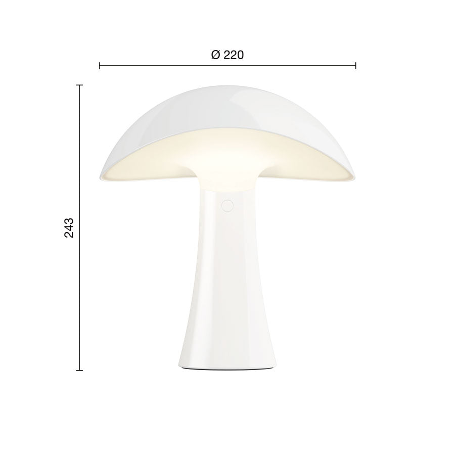 Rumee 220 ポータブルランプ