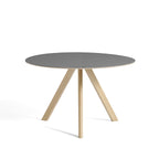 CPH20 Φ120 グレーリノリウム