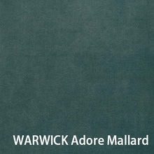 画像をギャラリービューアに読み込む, WARWICK Adore Mallard
