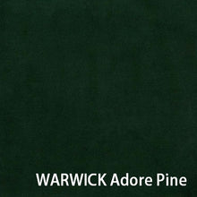 画像をギャラリービューアに読み込む, WARWICK Adore Pine
